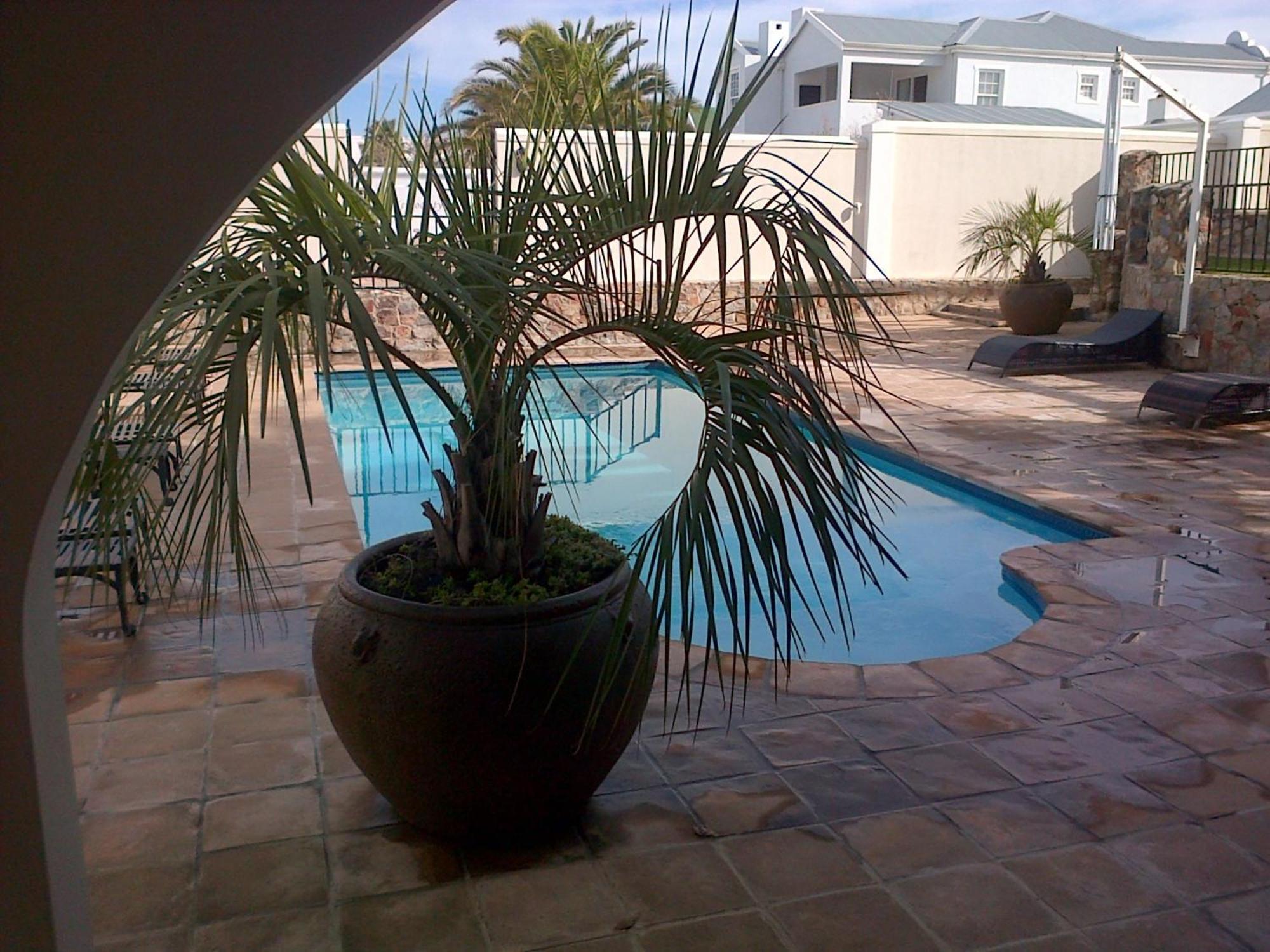 Nautilus Guest House Hermanus Exterior photo