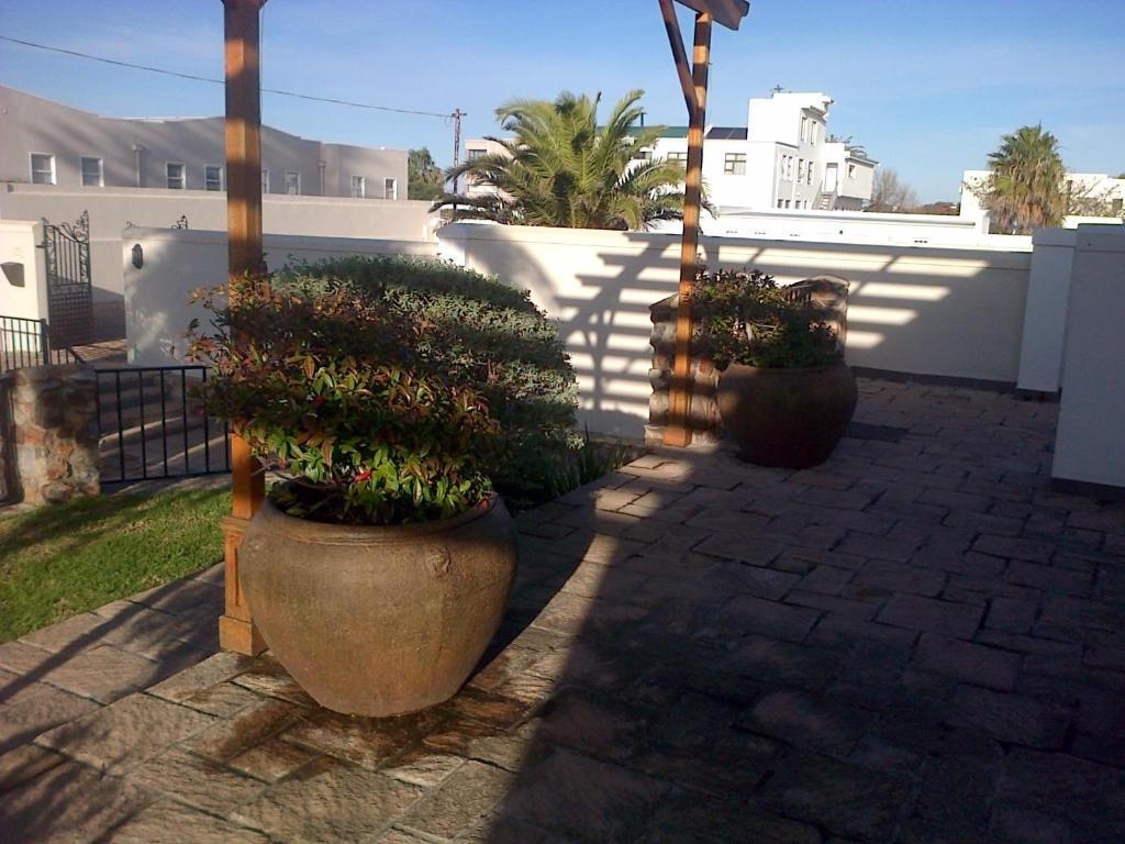 Nautilus Guest House Hermanus Exterior photo